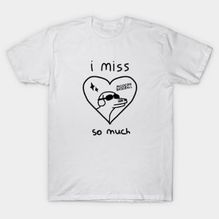 I miss modern baseball sm T-Shirt